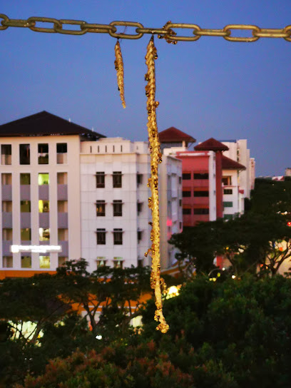 The Pest Control Company Pte Ltd, Singapore