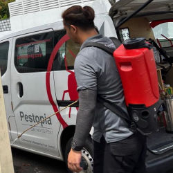 Pestopia SG Pest Control, Singapore