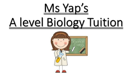 Ms Yap A-Level JC H2 Biology Tuition, Singapore