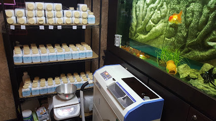 Beijing TCM Pain Relief Centre 北京中医