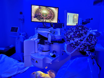 Dr Daphne Han Chuk Yin Eye Doctor, Specialist