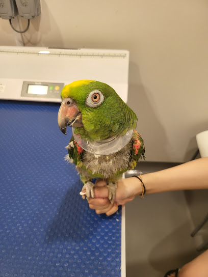 TP Animal Clinic & Wellness