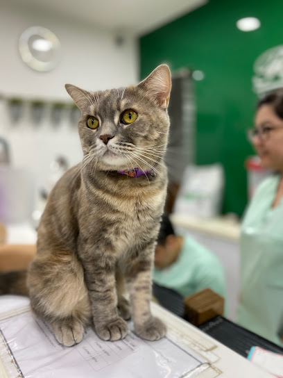 Frankel Veterinary Centre