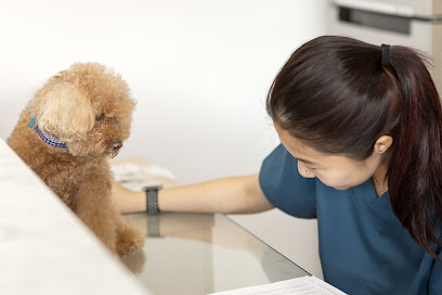 Hillside Veterinary Surgery