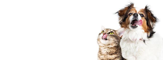 Animal Infirmary Pte Ltd